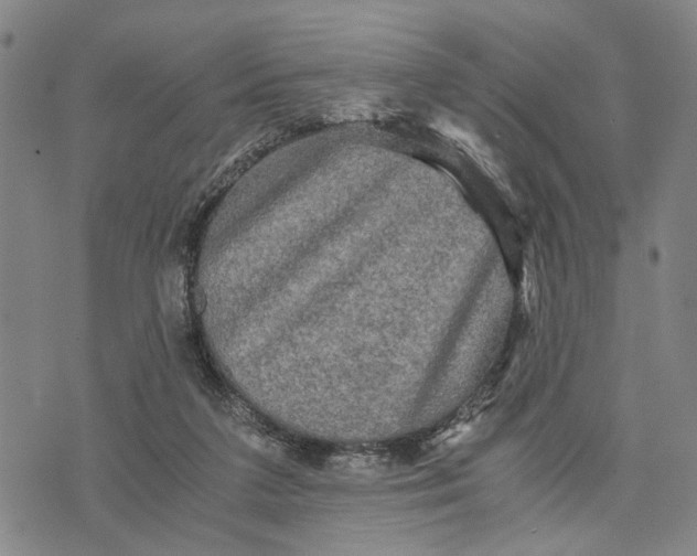 X0000076350211200610161807