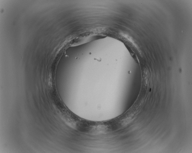 X0000076350212200610161807