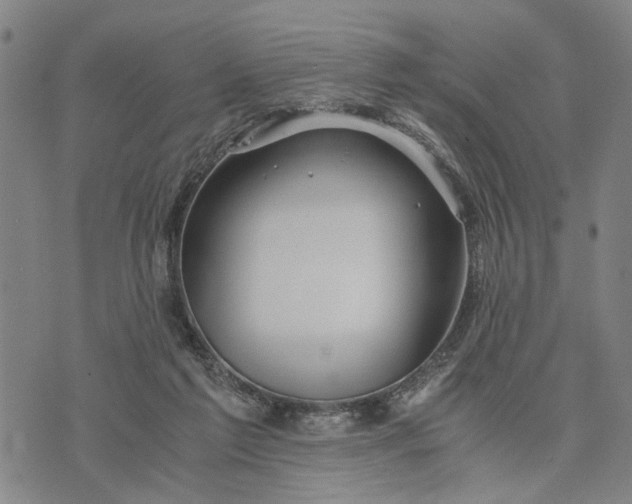 X0000076350213200610161807