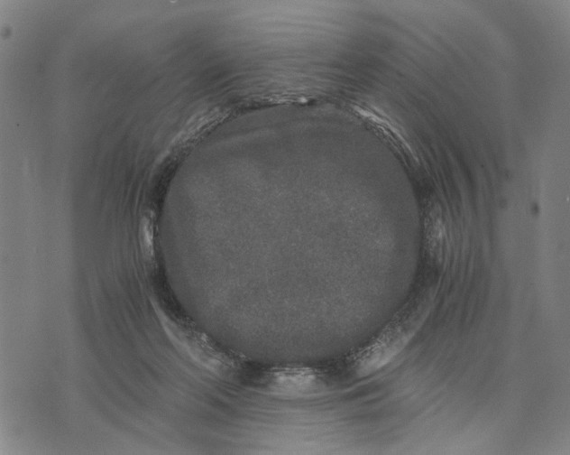 X0000076350214200610161807