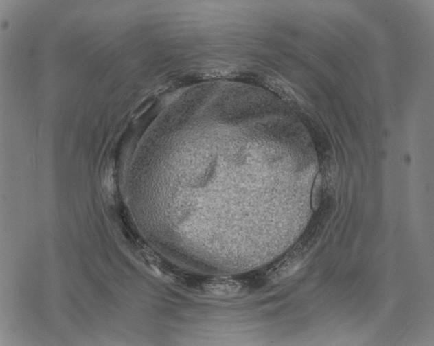 X0000076350215200610161807