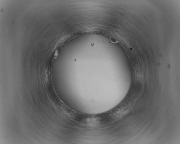 X0000076350216200610161807