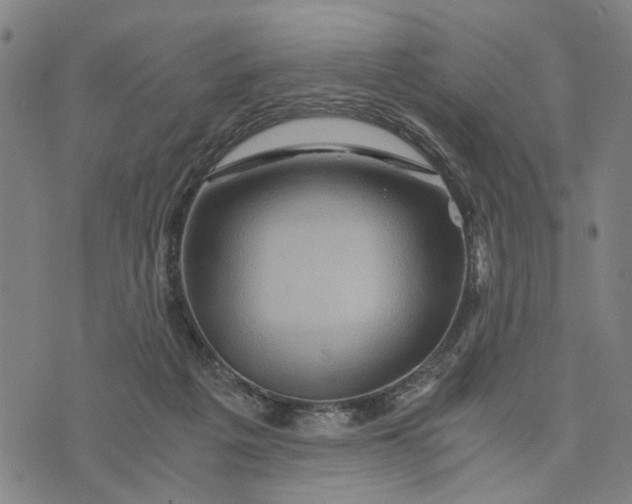 X0000076350217200610161807