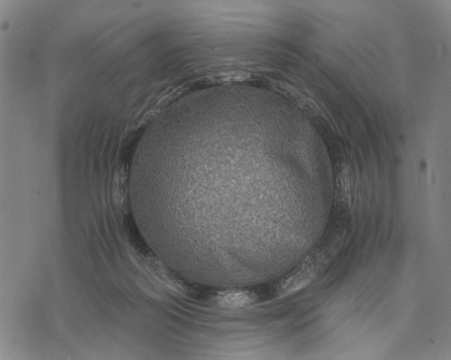 X0000076350218200610161807