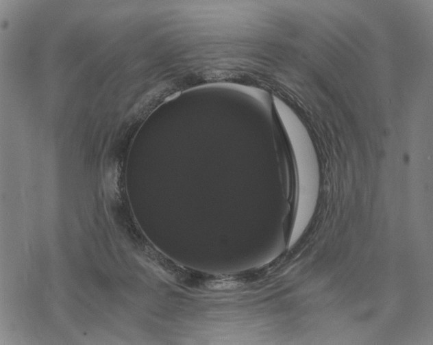 X0000076350219200610161807