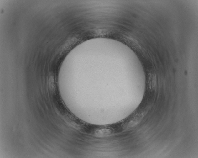 X0000076350220200610161807