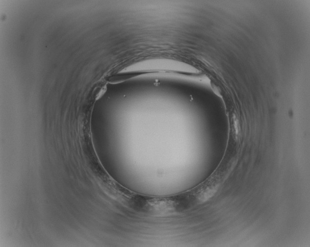 X0000076350221200610161807