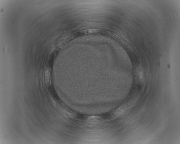 X0000076350222200610161807