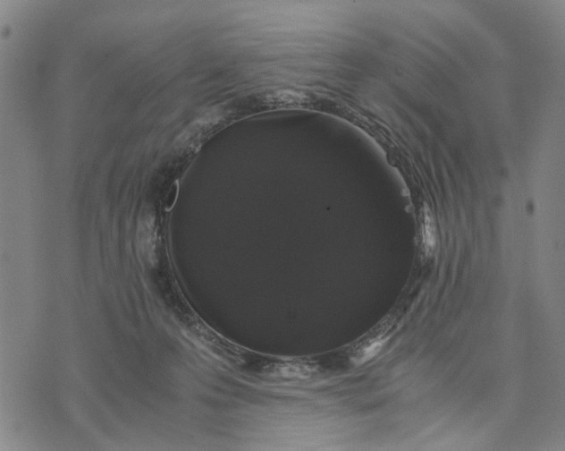 X0000076350223200610161807