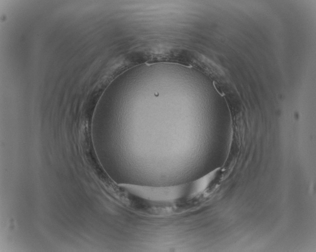 X0000076350225200610161807