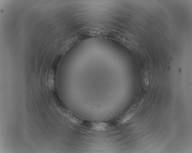 X0000076350226200610161807