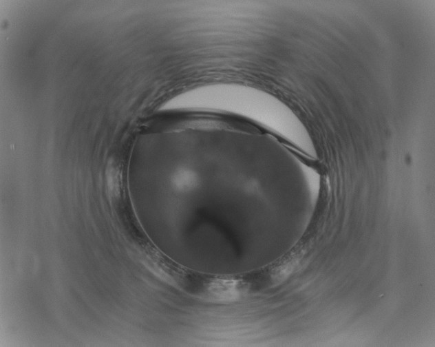 X0000076350227200610161807