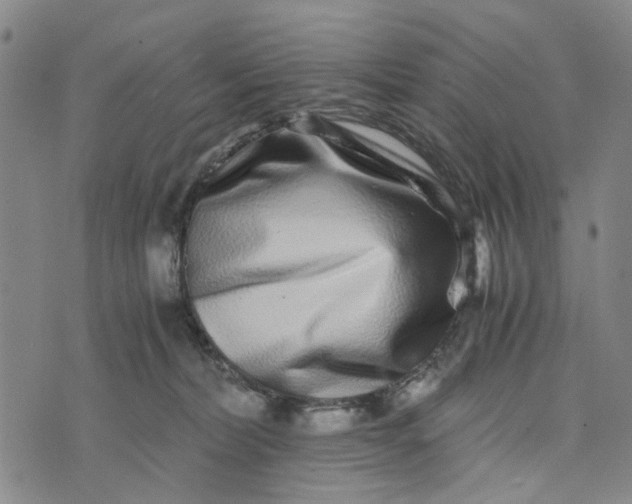 X0000076350228200610161807