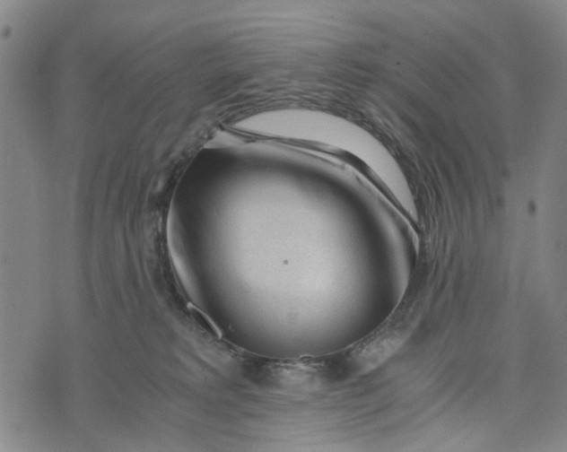 X0000076350229200610161807