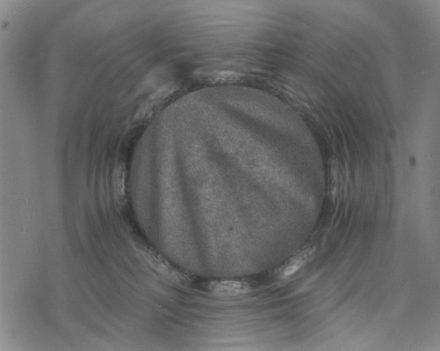 X0000076350230200610161807