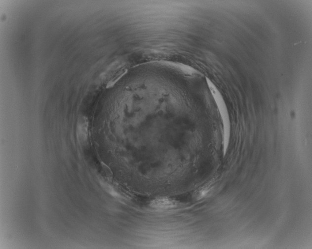 X0000076350231200610161807