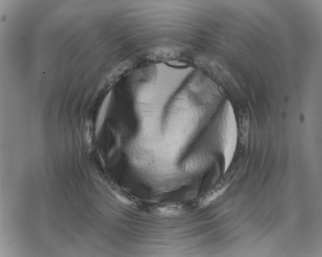 X0000076350232200610161807