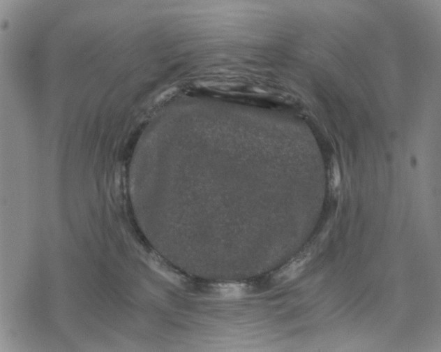 X0000076350233200610161807