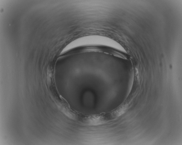 X0000076350235200610161807