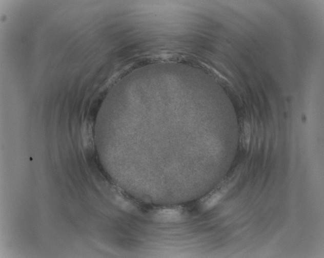 X0000076350236200610161807