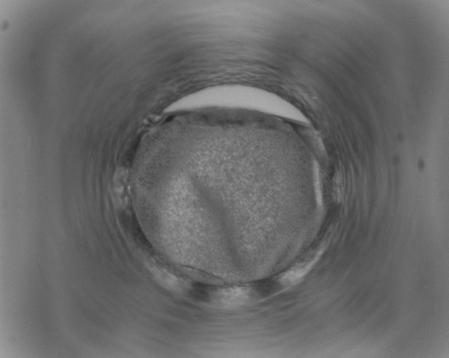 X0000076350237200610161806