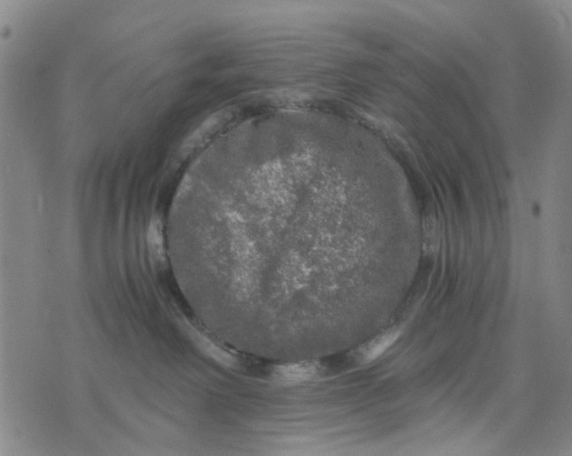 X0000076350238200610161806