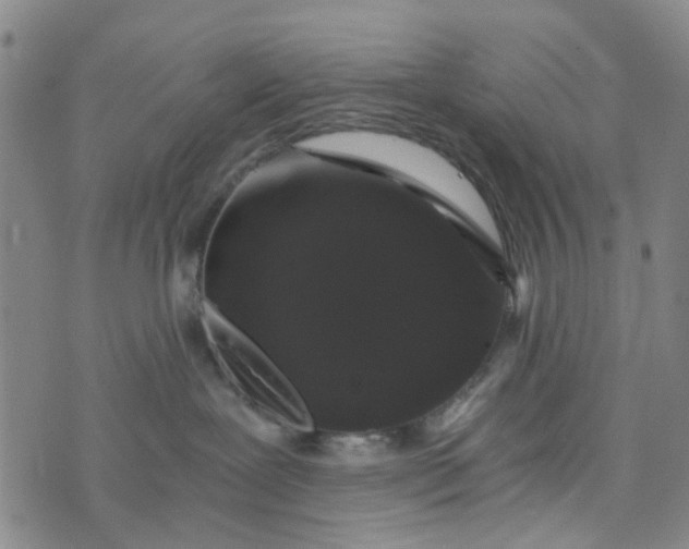 X0000076350239200610161806