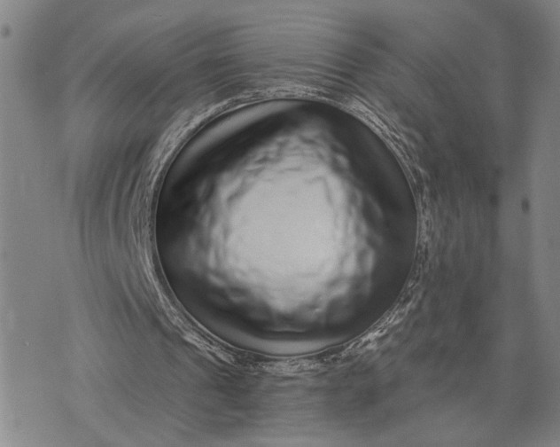 X0000076350241200610161806