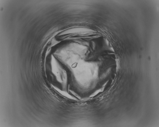 X0000076350243200610161806