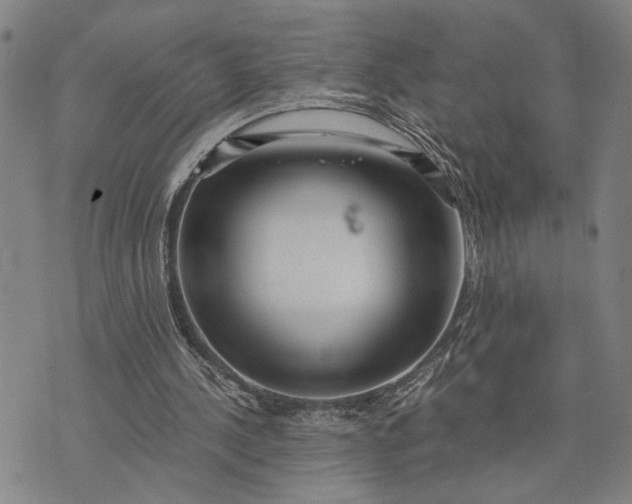 X0000076350244200610161806