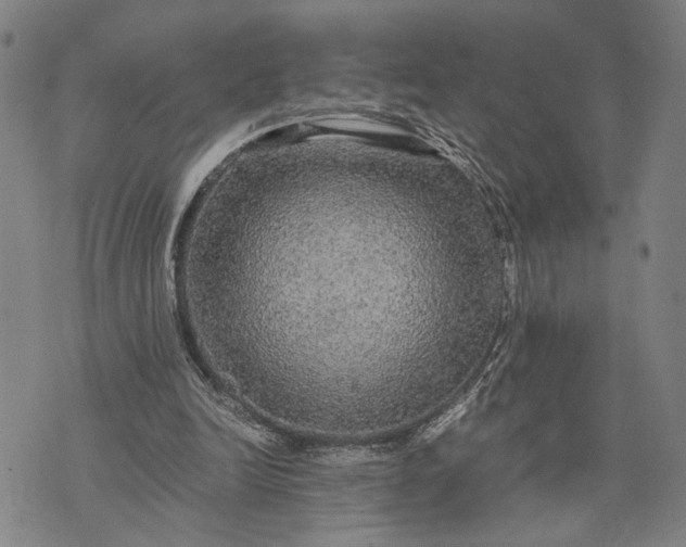 X0000076350246200610161806