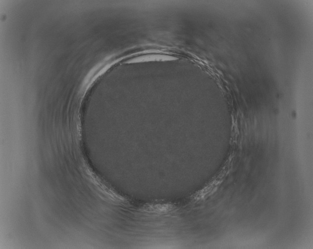 X0000076350247200610161806