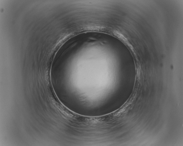 X0000076350249200610161806