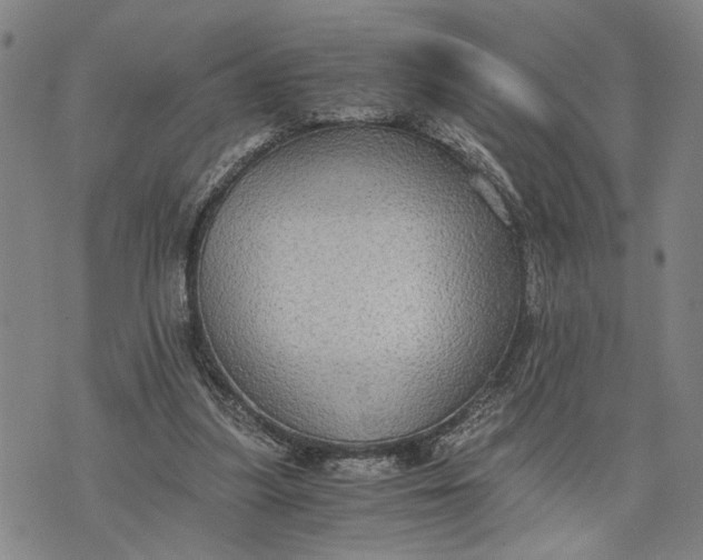 X0000076350251200610161806