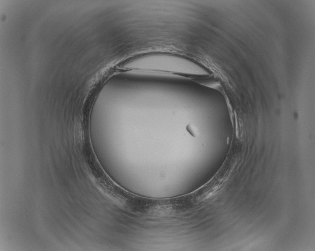 X0000076350252200610161806