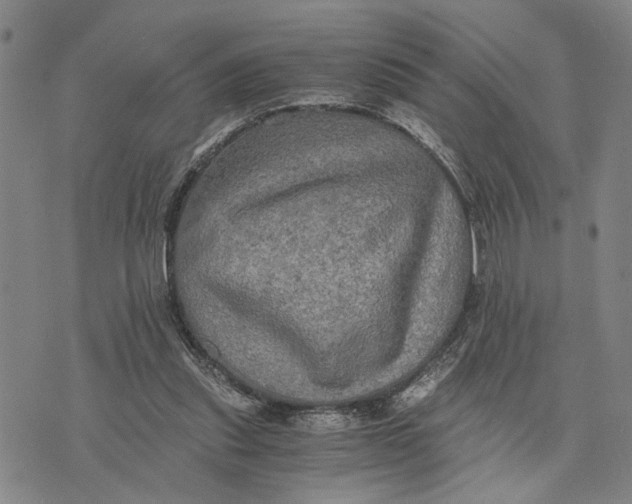 X0000076350253200610161806