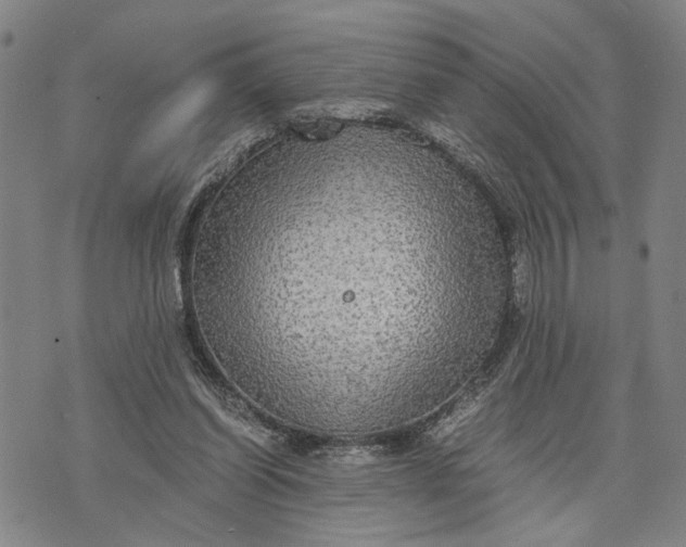 X0000076350254200610161806