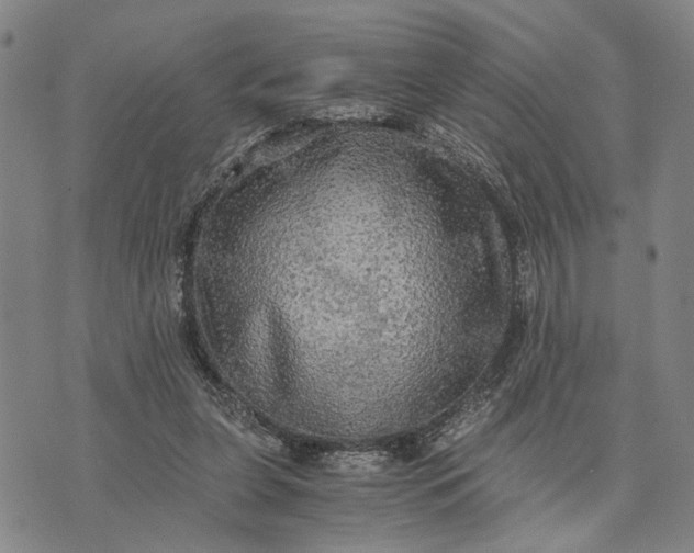 X0000076350255200610161806