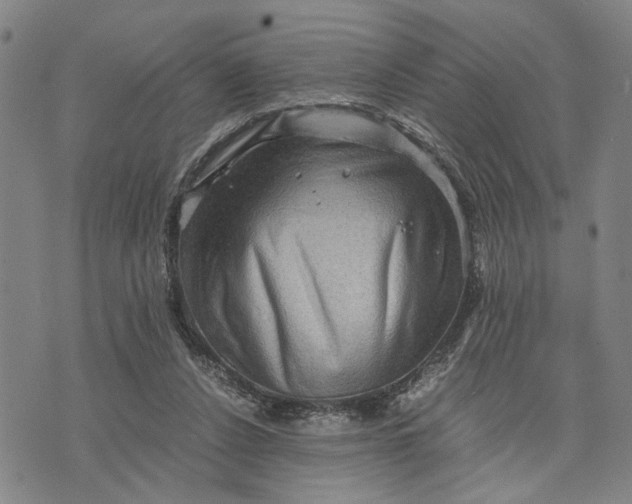 X0000076350256200610161806