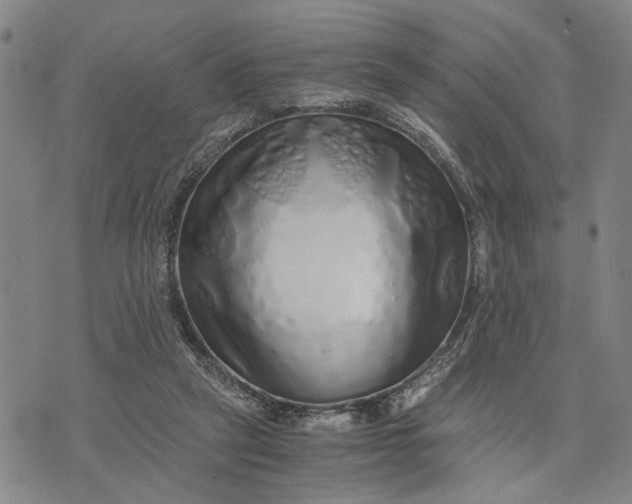 X0000076350257200610161806