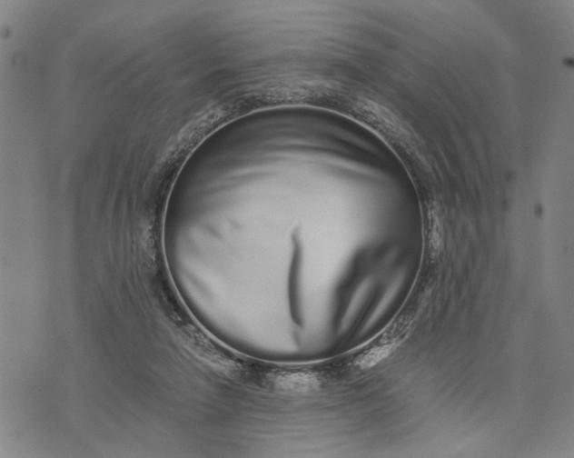 X0000076350258200610161806