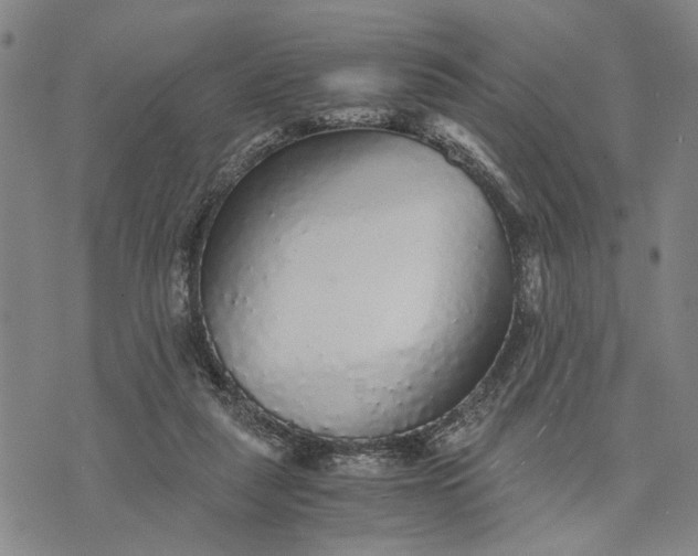 X0000076350259200610161806