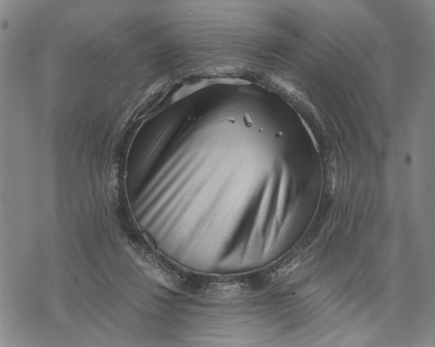 X0000076350260200610161806