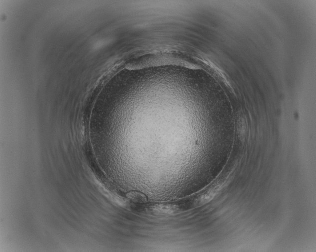 X0000076350261200610161806