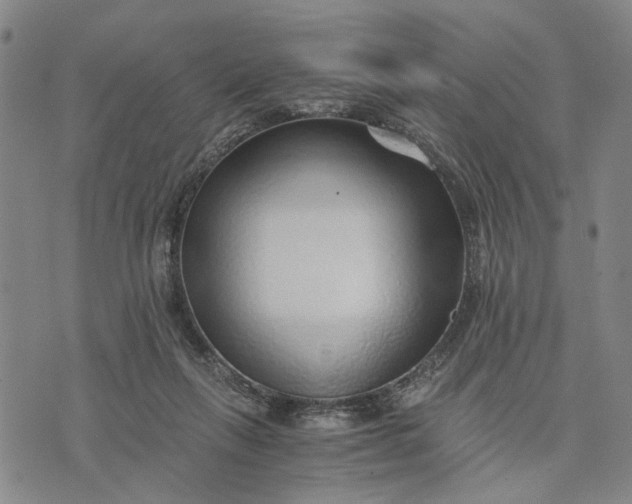 X0000076350263200610161806