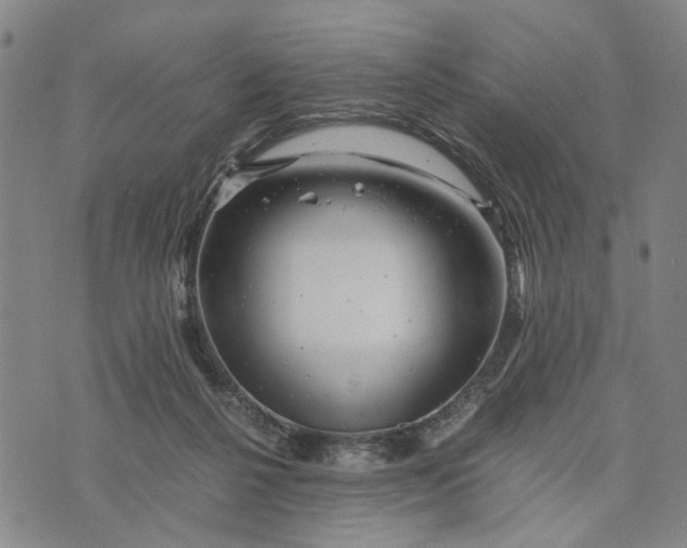 X0000076350264200610161806