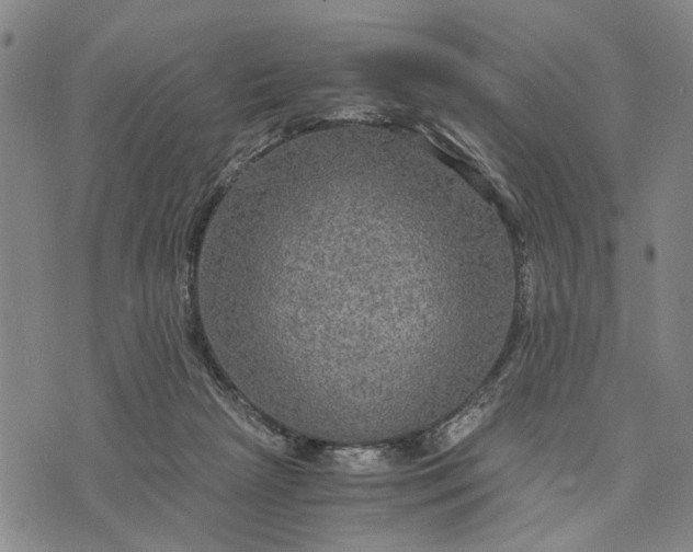 X0000076350265200610161806