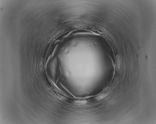 X0000076350266200610161806