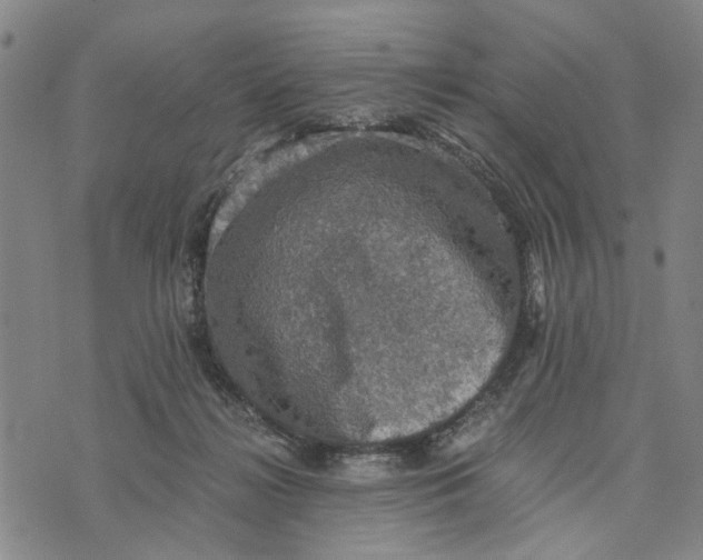 X0000076350268200610161806