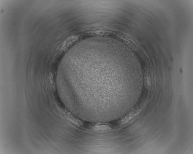 X0000076350270200610161806